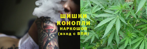 дурь Ельня