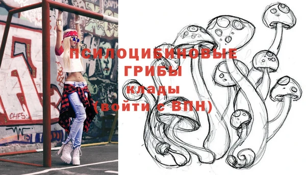 крисы Гусев