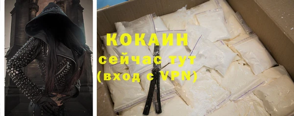 стаф Гусь-Хрустальный
