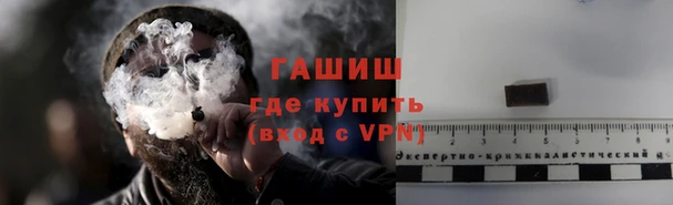 прущие грибы Гусиноозёрск
