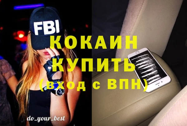 стафф Елизово