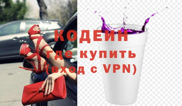 прущие грибы Гусиноозёрск